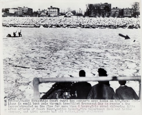 Gravesend.Bay.ice.dog.MINE.obverse